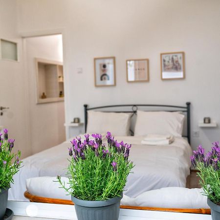 Lux Garden Apartment Near Acropolis In The Heart Of Ateny Zewnętrze zdjęcie