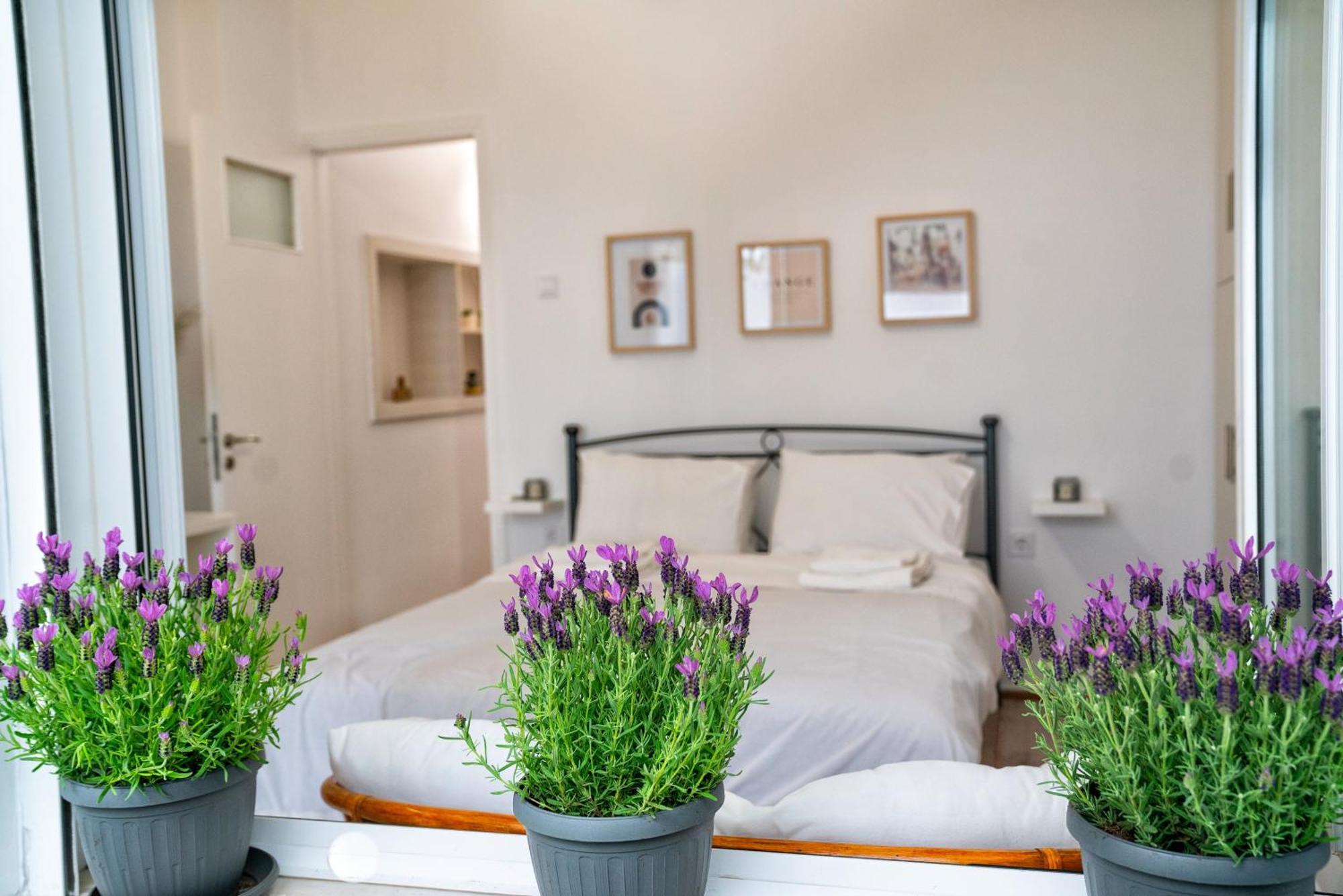 Lux Garden Apartment Near Acropolis In The Heart Of Ateny Zewnętrze zdjęcie
